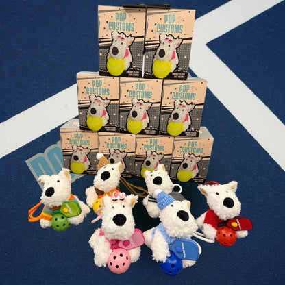 Pickleball Blind Box