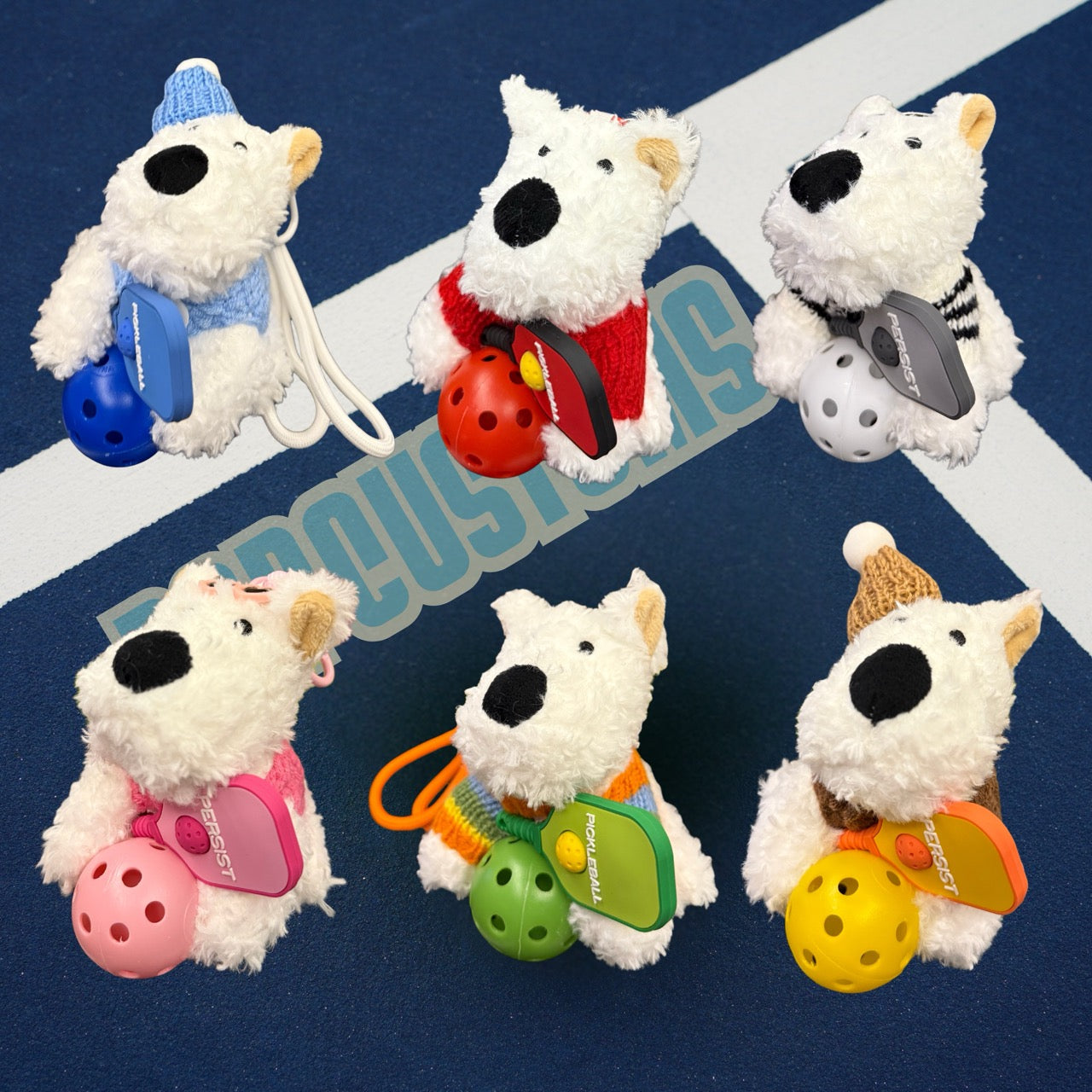 Pickleball Blind Box